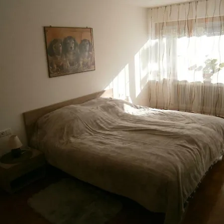 Roessler Apartment